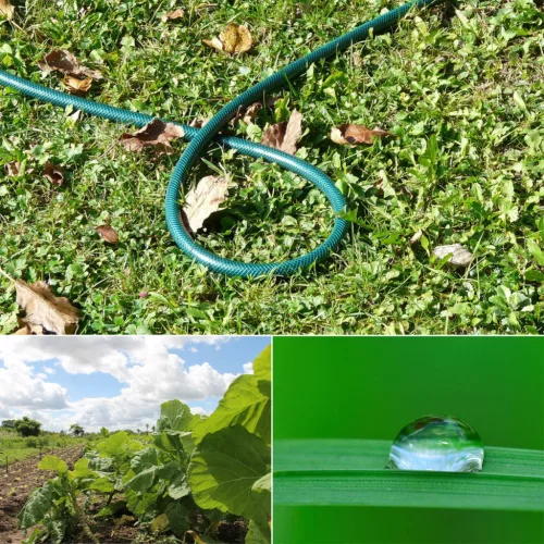 Locsolótömlő 3 rétegű fonattal 1/2" 30 m erős GAZDASÁGOS CELLFAST