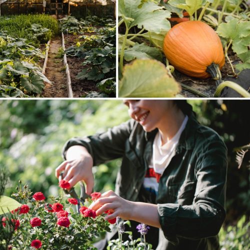 Kert tömlő 15 m csepegtető izzasztó öntözés CSEPEGŐ 1/2" CELLFAST