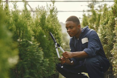 BASIC CELLFAST Egyenes kerti olló