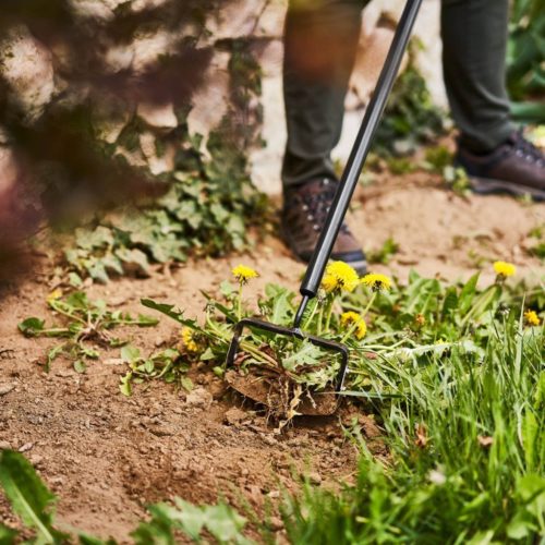 Graca Motyka kultivátor kézi gyomláló kerti gyomláláshoz IDEAL PRO CELLFAST