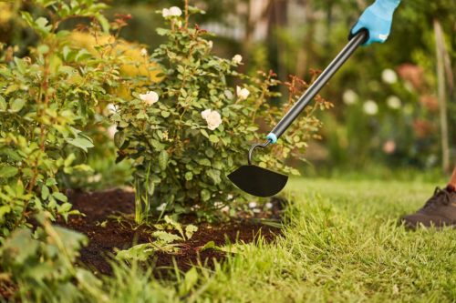 Kapa Kapa Görög horog Félkör alakú szívkert IDEÁLIS PRO CELLFAST