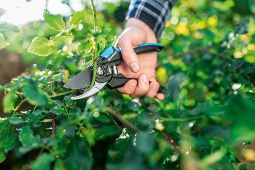 Kézi kerti metszőolló cserjeágakhoz állítható ERGO CELLFAST-tal