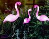 3x SOLAR LED kültéri kerti lámpa Flamingos 54cm