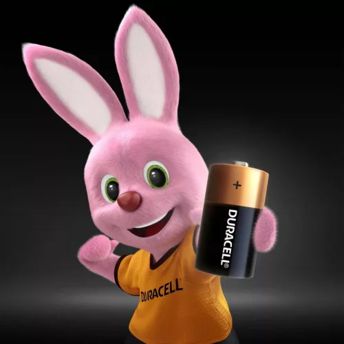 Duracell Basic C LR14 alkáli elemek buborékfólia 2 db