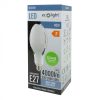 LED izzó E27 40W 4000lm 6000K Cold Rocket Ecolight