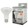 LED izzó reflektor R80 E27 12W 1080lm 4000K semleges Ecolight