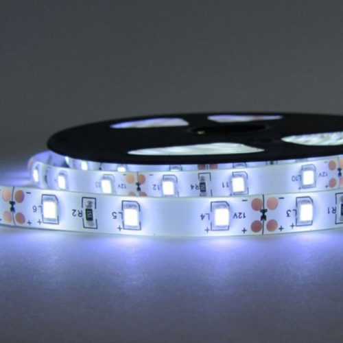 LED szalag 12V 48W 600LED 2835 Hideg 8mm 5m ECOLIGHT