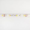 LED szalag SMD 5050 14.4W/m 60LED/m 12V 2700-6500K Többszínű RGB + változtatható CCT IP20 5m-es tekercs Ecolight