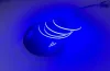 LED szalag 12V COB 45W 480LED 2835 Kék 8mm 5m ECOLIGHT