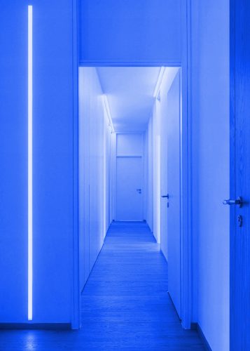 LED szalag 12V COB 45W 480LED 2835 Kék 8mm 5m ECOLIGHT