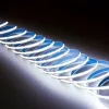 LED szalag 12V COB 35W 300LED 2835 Hideg 8mm 5m ECOLIGHT