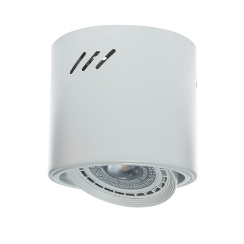 TUBO mennyezeti lámpa fehér 1xAR111 Milagro