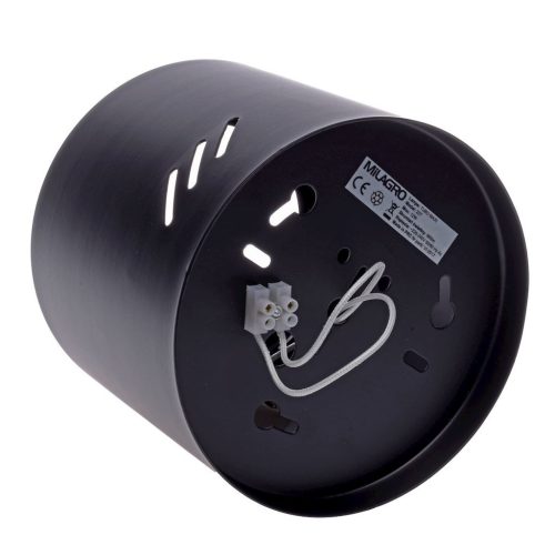 TUBO mennyezeti lámpa fekete 1xAR111 Milagro