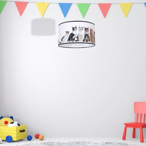 CATS 1xE27 Milagro mennyezeti lámpa