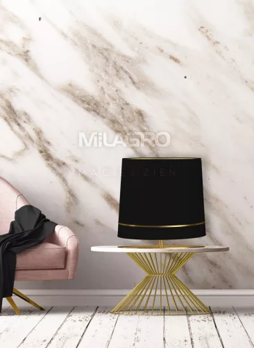 BOOTES állólámpa 1xE27 fekete és arany Milagro