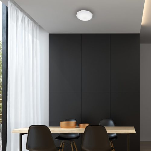 LED mennyezeti lámpa HEX 12W LED Ø290mm Eco-Light