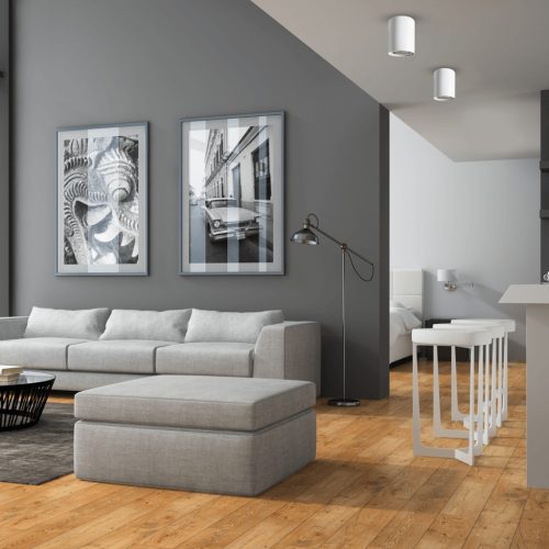 Felületre szerelhető HALOGÉN Tube Spot Light Kerek Fehér GU10 Bima Milagro