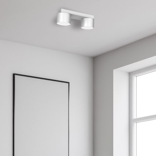 DIXIE mennyezeti lámpa fehér 2xGX53 Milagro