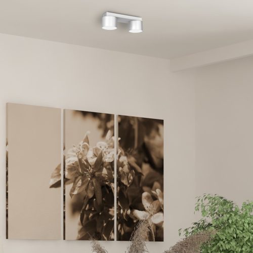 DIXIE mennyezeti lámpa fehér 2xGX53 Milagro