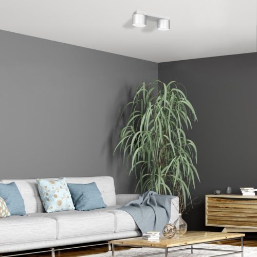 DIXIE mennyezeti lámpa fehér 2xGX53 Milagro