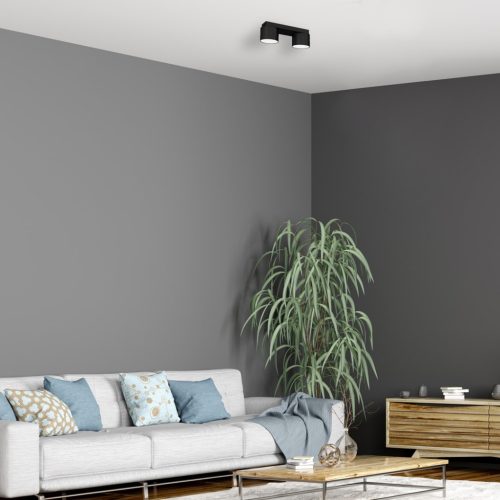 DIXIE mennyezeti lámpa fekete 2xGX53 Milagro