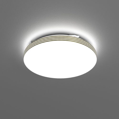 BEVER Felületre szerelhető LED mennyezeti lámpa 10W LED Ø260 mm Milagro