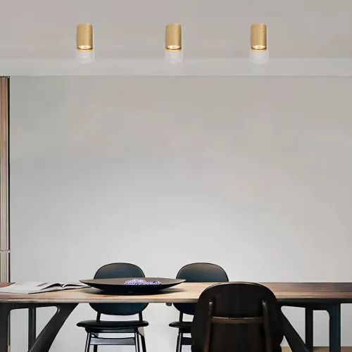 Felületre szerelt HALOGÉN Downlight Tube Spot Ricky Round Gold GU10 MILAGRO