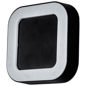 Kerti fali lámpa kültéri LED lámpa 12W 4000K IP54 LUPUS