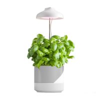 Növénynövesztő lámpa