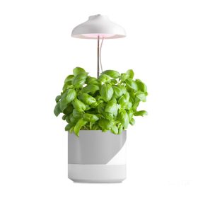   LED növényi lámpa dugaszolható esernyő Verdi 5W 220lm USB-A Kobi