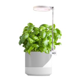   LED növényi lámpa dugaszolható Verdi 10W 260lm USB-A Kobi