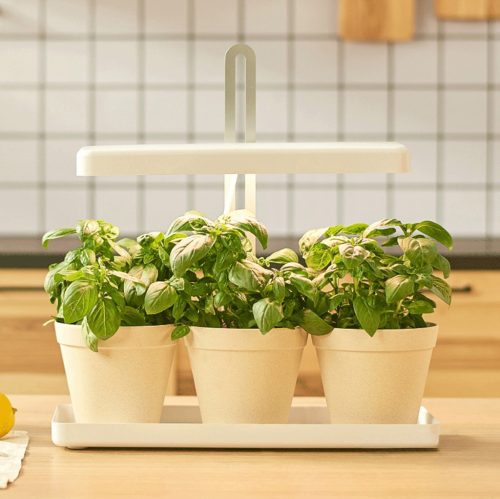 LED növényi lámpa álló széles talpú Verdi 20W 1200lm Kobi