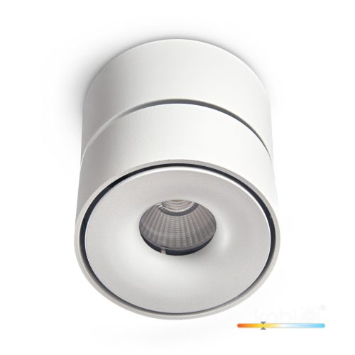 Mennyezeti LED spotlámpa, állítható, 9W, 550lm, 3000K, meleg, szabályozható, CRI90, fehér, Lahti Kobi