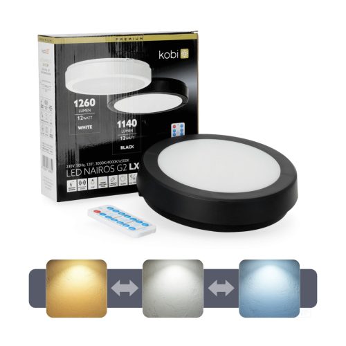 LED kültéri mennyezeti lámpa, 12W, 1140lm, 4000K, 120°, mozgás- és alkonyérzékelővel, fekete, IP65, Nairos Kobi