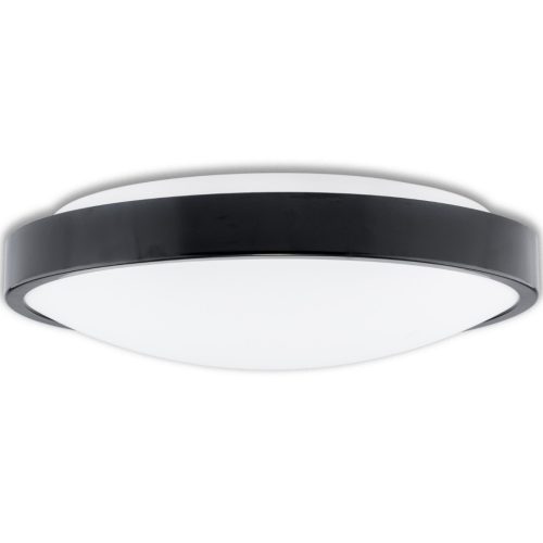 LED felületre szerelhető mennyezeti fürdőszobai lámpa 12W 4000K IP44 ZOE Fekete 30cm