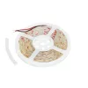 LED szalag kültéri 5W 475lm 6500 Hideg 1600LED 12V 5m IP65 CRI90 Tramo Prémium Kobi