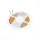 LED szalag 5W 460lm 3000K Meleg 1600LED 12V 5m CRI90 Tramo Prémium Kobi