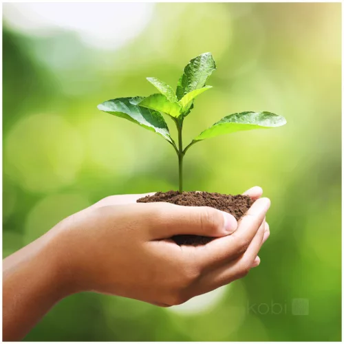 E27 LED izzó gömb alakú 9W 806lm 4000K semleges 240° LED2B Kobi