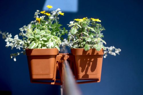 Állítható LOBELIA Brick Red erkélyes virágcserép doboz tartó