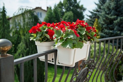 Állítható LOBELIA Brick Red erkélyes virágcserép doboz tartó