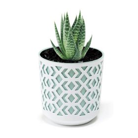   Dekoratív virágcserép virágcserép betéttel Ø30 cm Otthoni kert áttört virágtakaró fehér és menta