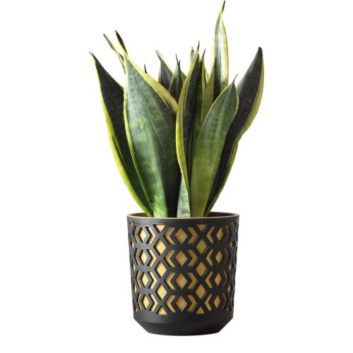 Dekoratív virágcserép virágcserép betéttel Ø30 cm Otthoni kert áttört virágtakaró fehér és menta