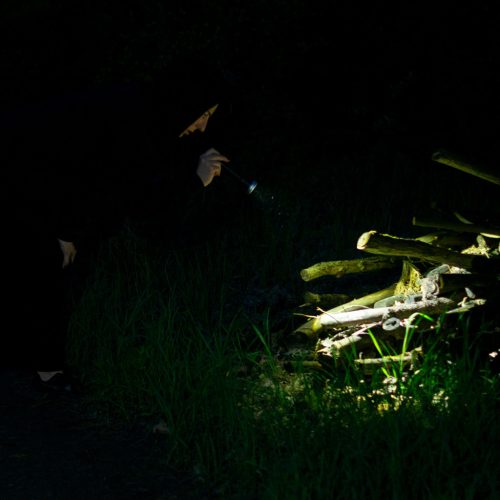 LED taktikai zseblámpa 15W 1400 lm IP65 elemmel működő 6xAAA ZOOM LEDVANCE kézi lámpa