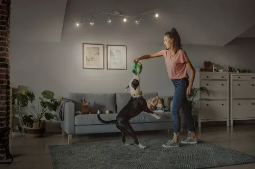 LED mennyezeti fali lámpa spotlámpa 6 pontban állítható 20,4 W GU10 fehér LEDVANCE