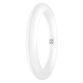   Kör alakú LED fénycső G10q T9 11W 1320lm 4000K Semleges 110° Ledvance