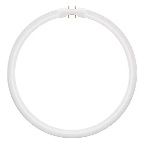 Kör alakú LED fénycső 2GX13 T5 21.5W 3200lm 6500K Hideg 120° Ledvance