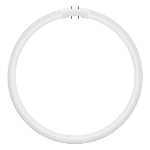 Kör alakú LED fénycső 2GX13 T5 21.5W 2900lm 3000K Meleg 120° Ledvance