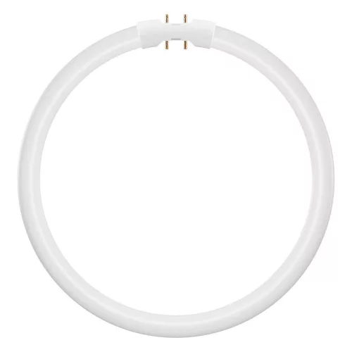 Kör alakú LED fénycső 2GX13 T5 11.6W 1550lm 3000K Meleg 120° Ledvance