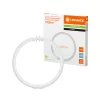 Kör alakú LED fénycső 2GX13 T5 11.6W 1700lm 6500K Hideg 120° Ledvance
