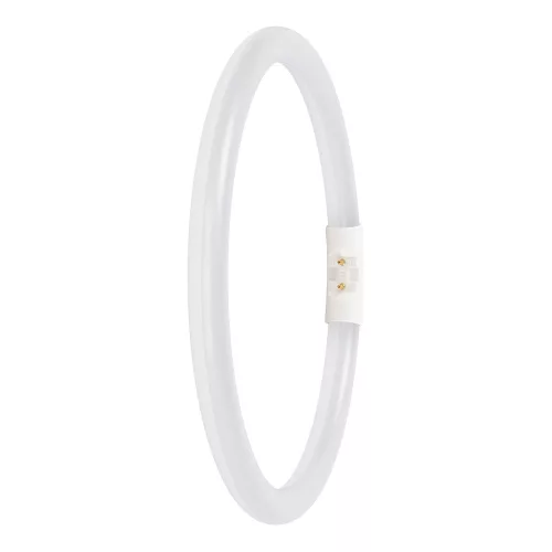 Kör alakú LED fénycső 2GX13 T5 11.6W 1700lm 6500K Hideg 120° Ledvance